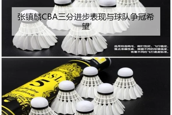 张镇麟CBA三分进步表现与球队争冠希望